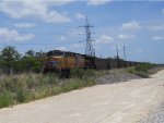 UP 6020  1Jun2011  South end of a NB train of empty coal cars passing JAMA 
